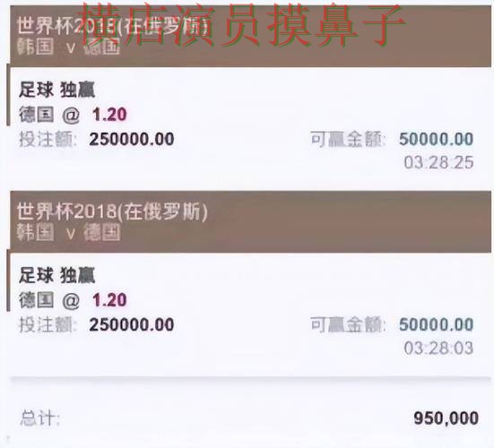 盘点世界杯买球平台：从访问方式到直播观看全流程解析 - 世界杯高清直播