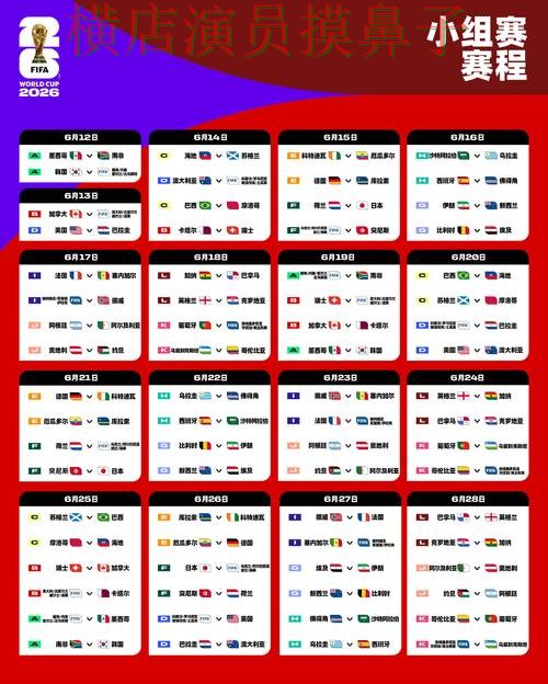 FIFA World Cup 2026背景下的世界杯竞猜平台实测对比与访问方式